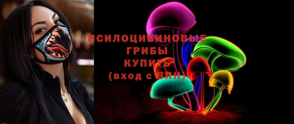 метадон Алексин