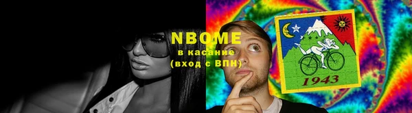 метадон Алексин