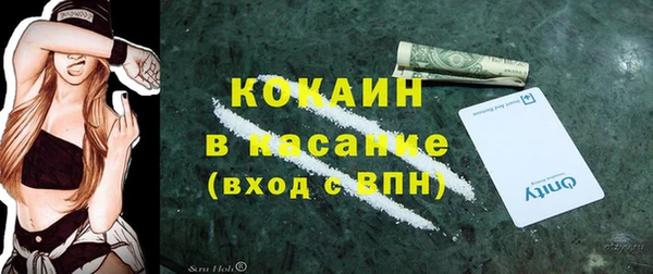 прущий лед Алзамай