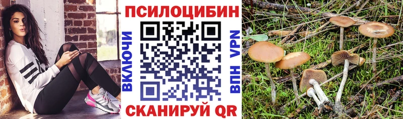 продажа наркотиков  Жигулёвск  Псилоцибиновые грибы прущие грибы 